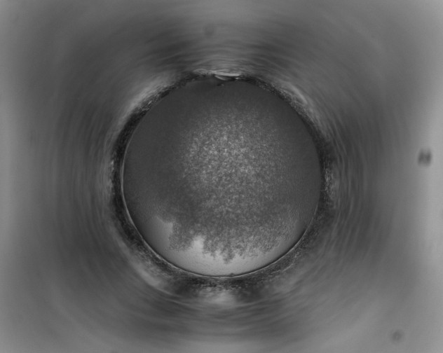 X0000100950735200807081218