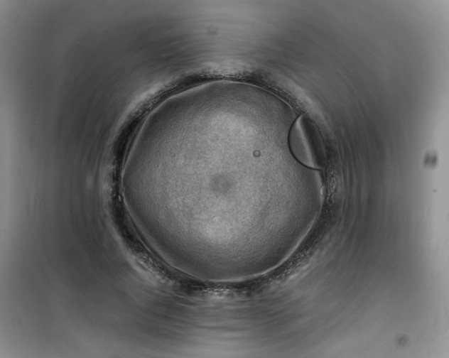 X0000100950736200807081218