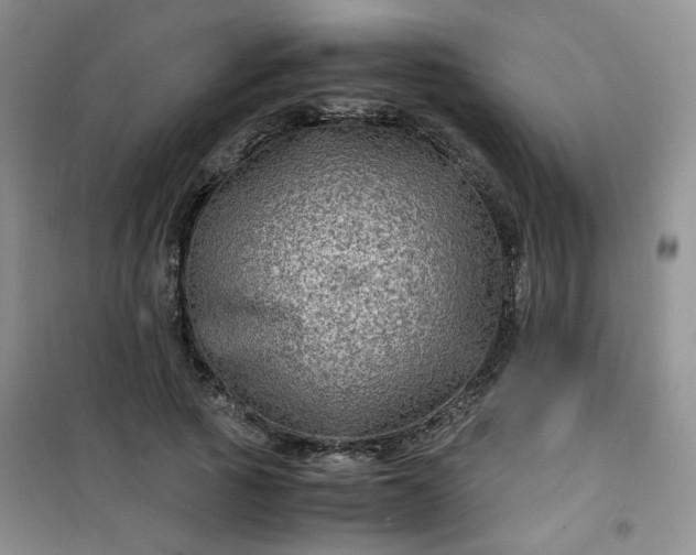 X0000100950737200807081218