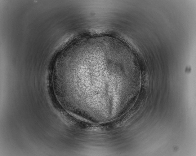 X0000100950738200807081218