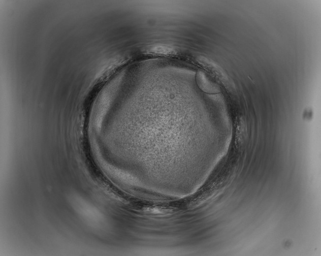 X0000100950739200807081218