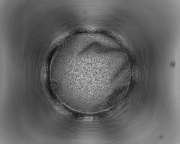 X0000100950740200807081218