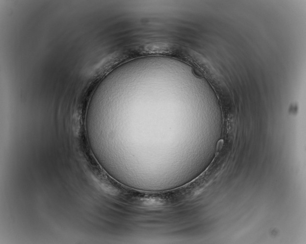 X0000100950741200807081218