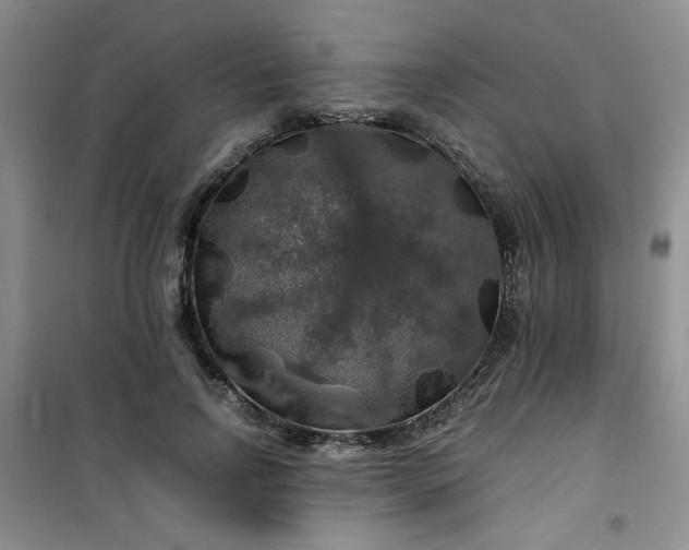 X0000100950742200807081218