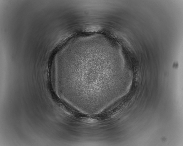 X0000100950743200807081218