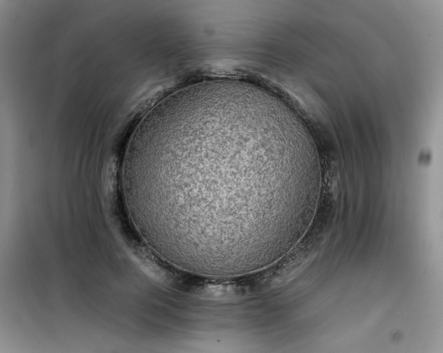 X0000100950744200807081218