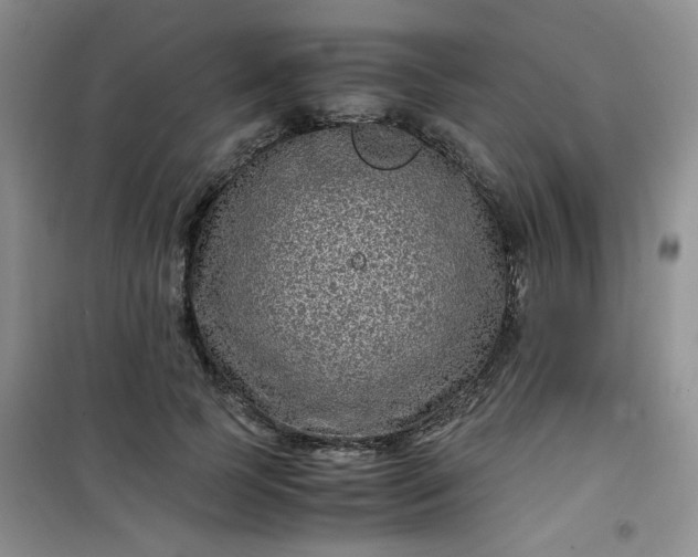 X0000100950745200807081218