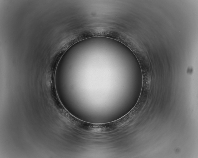 X0000100950746200807081218