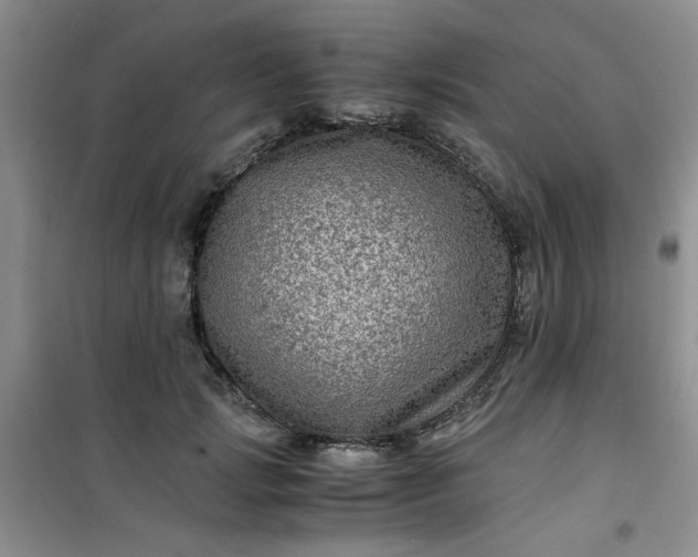 X0000100950749200807081218