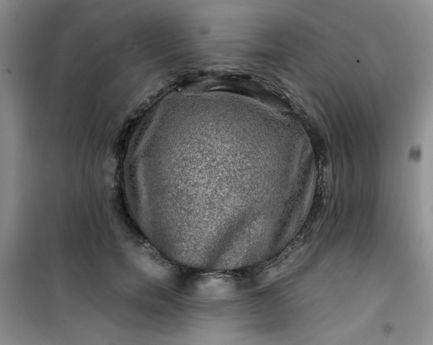 X0000100950750200807081218