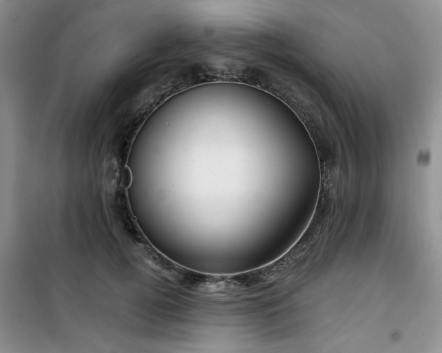 X0000100950752200807081218