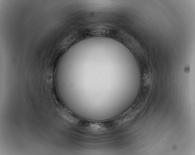 X0000100950753200807081218