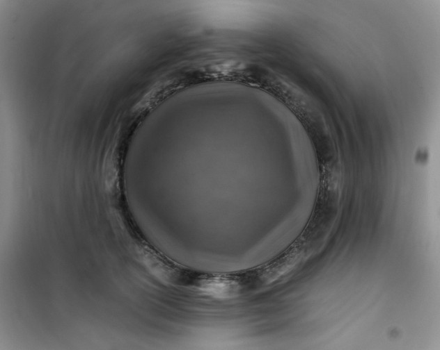 X0000100950754200807081218