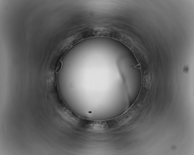 X0000100950756200807081218