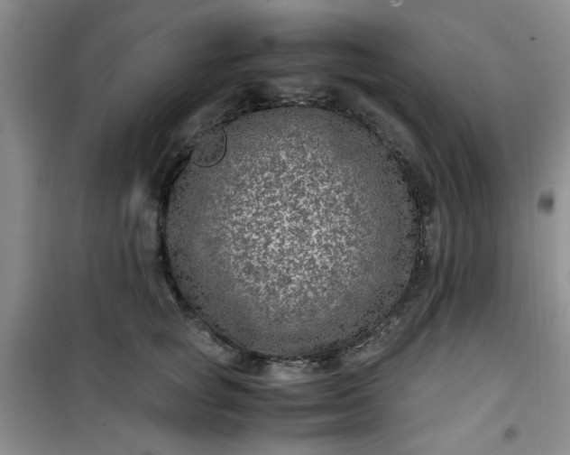 X0000100950757200807081218