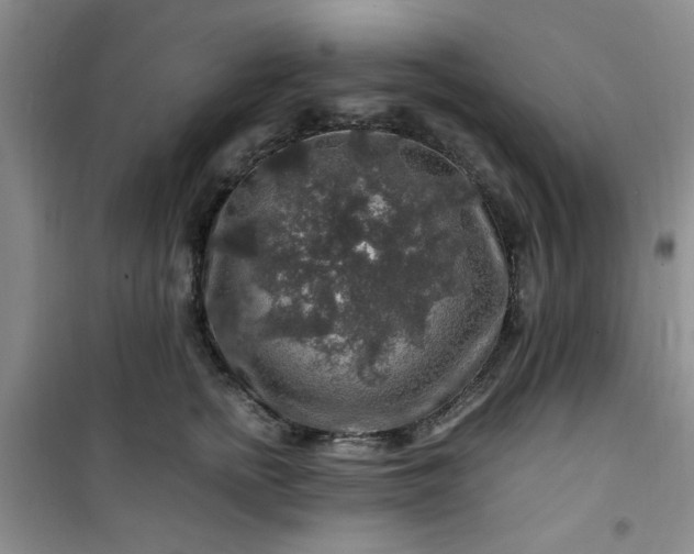 X0000100950758200807081218