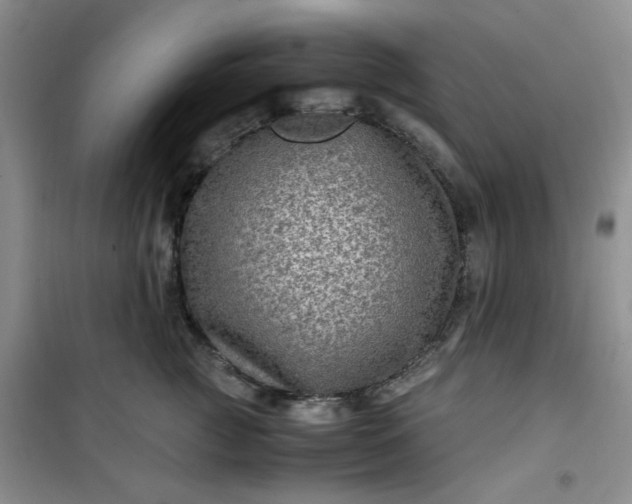 X0000100950761200807081218