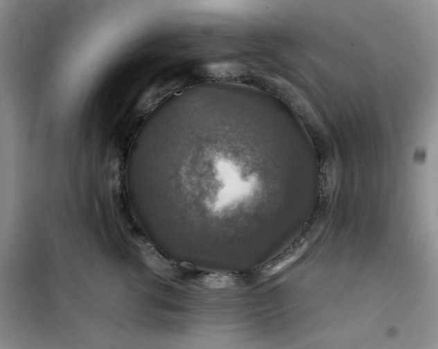 X0000100950762200807081218