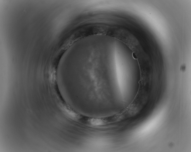 X0000100950766200807081218