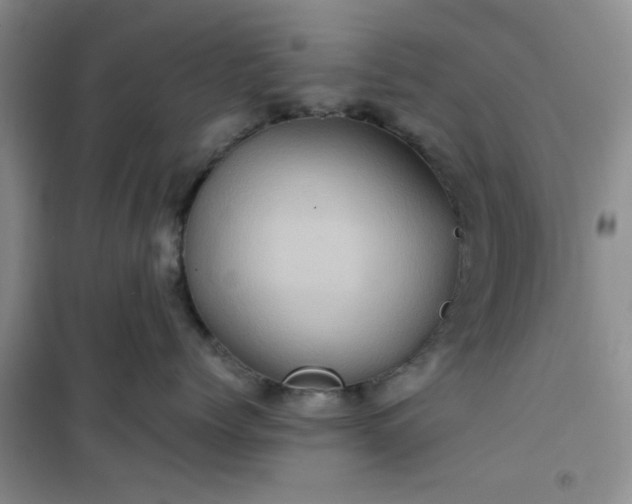 X0000100950768200807081218