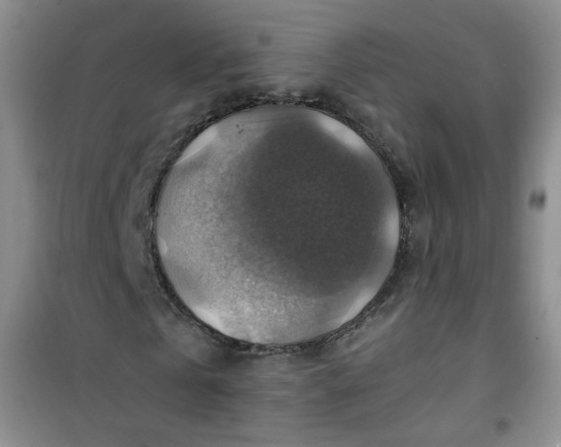 X0000100950769200807081217