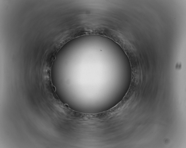 X0000100950770200807081217