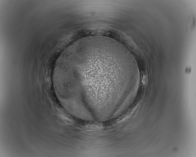 X0000100950771200807081217