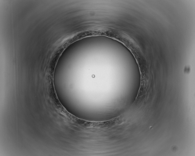 X0000100950773200807081217