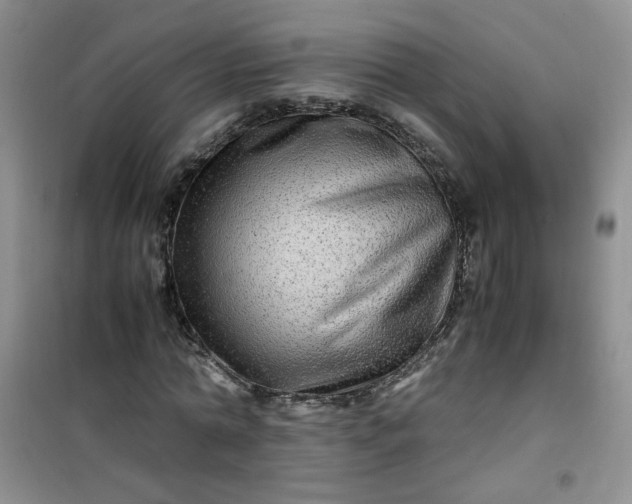 X0000100950774200807081217