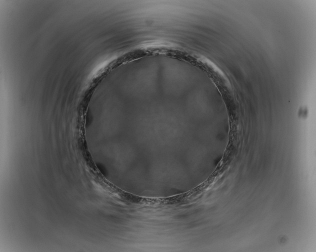 X0000100950775200807081217