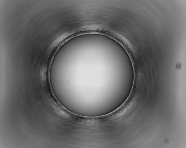 X0000100950778200807081217