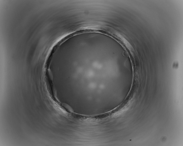 X0000100950779200807081217