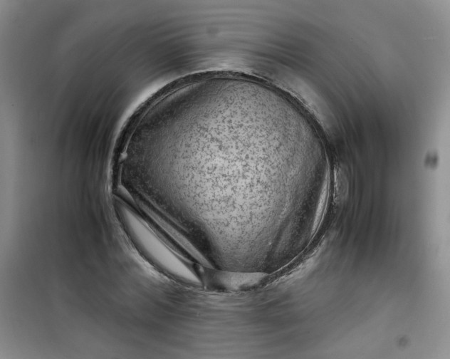 X0000100950780200807081217