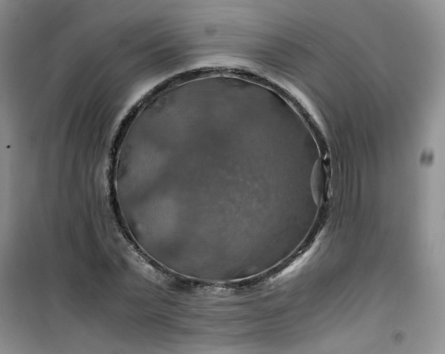 X0000100950783200807081217