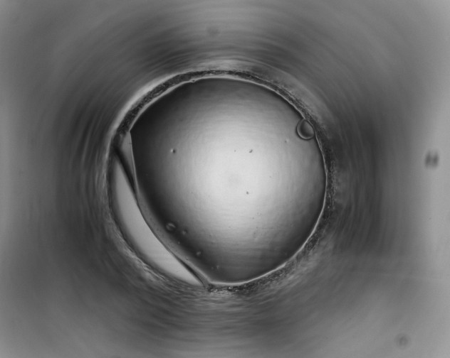 X0000100950784200807081217