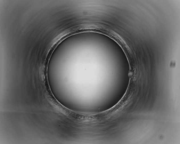 X0000100950786200807081217