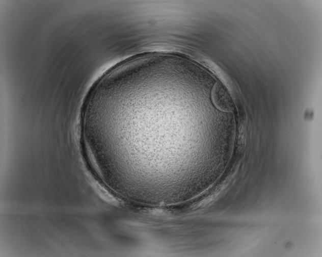 X0000100950787200807081217