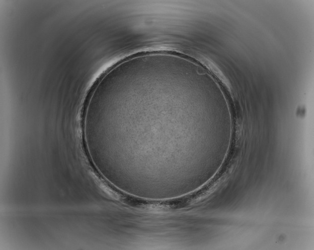 X0000100950789200807081217