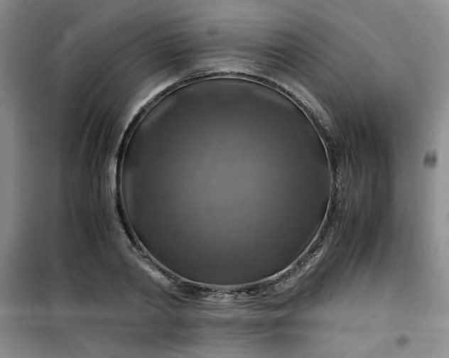 X0000100950790200807081217