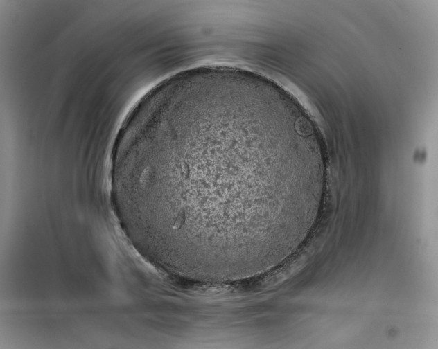 X0000100950791200807081217