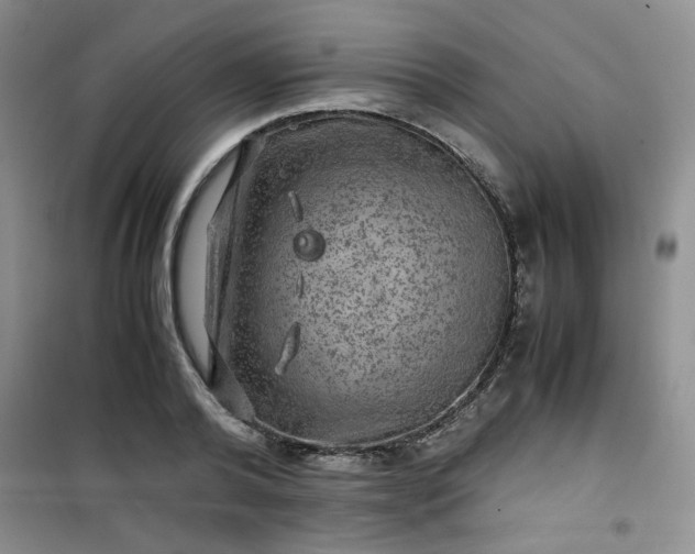 X0000100950792200807081217