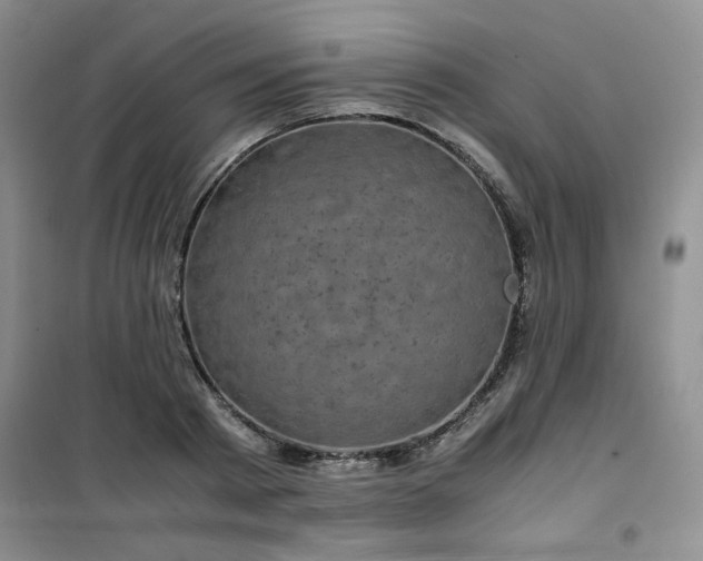 X0000100950793200807081217