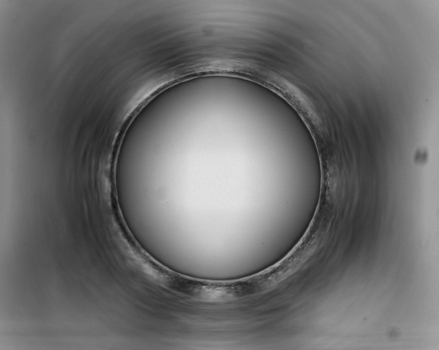 X0000100950794200807081217