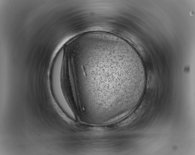 X0000100950796200807081217