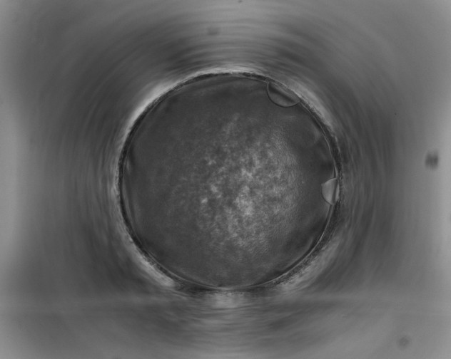 X0000100950797200807081217