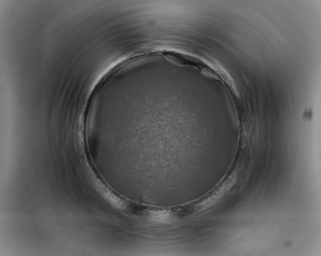 X0000100950798200807081217