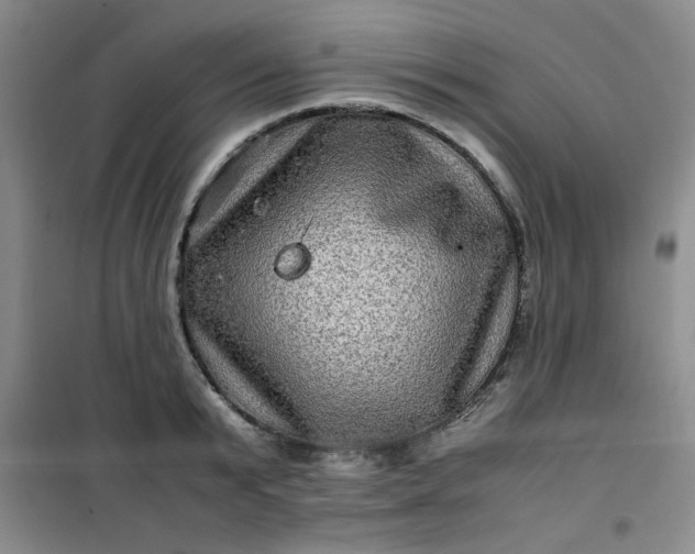 X0000100950799200807081217