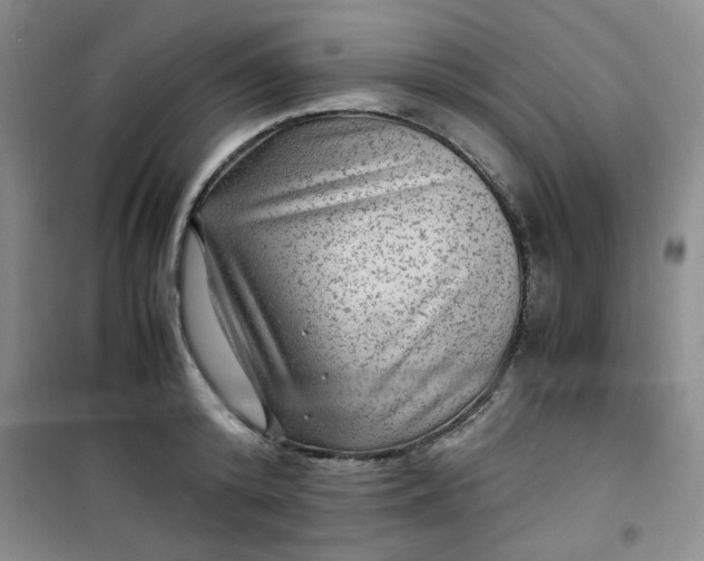 X0000100950800200807081217