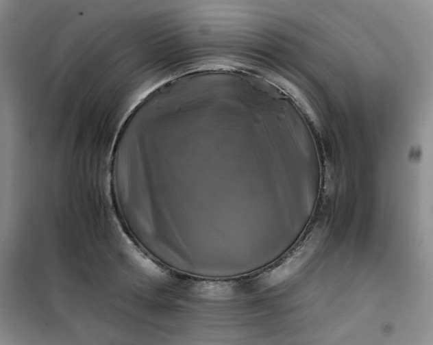 X0000100950802200807081217