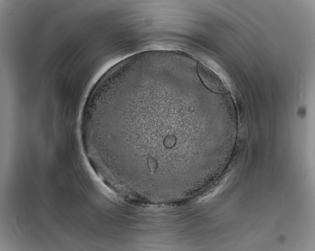 X0000100950803200807081217